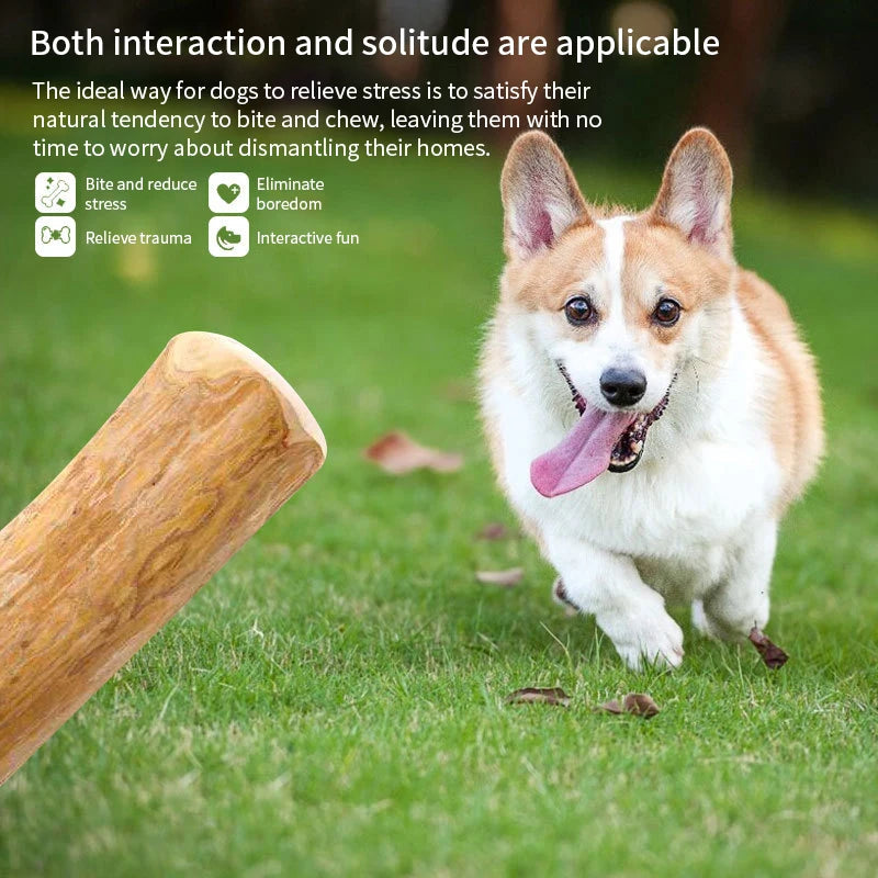 Juguete para Perros de Madera - Mordedor Duradero y Estimulante