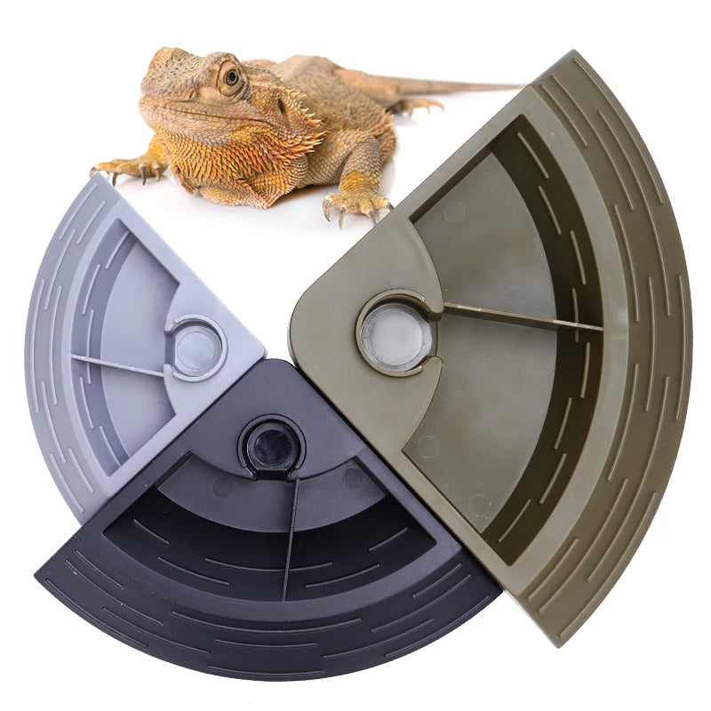 Dispensador automático de comida y agua para reptiles en esquina