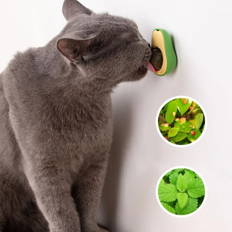 Juguete interactivo para gatos de plástico - Estimula y entretiene