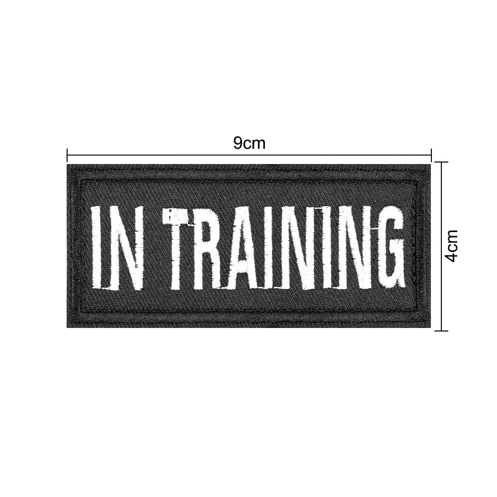 Etiquetas de identificación personalizadas para perros con diseño de letras en nylon