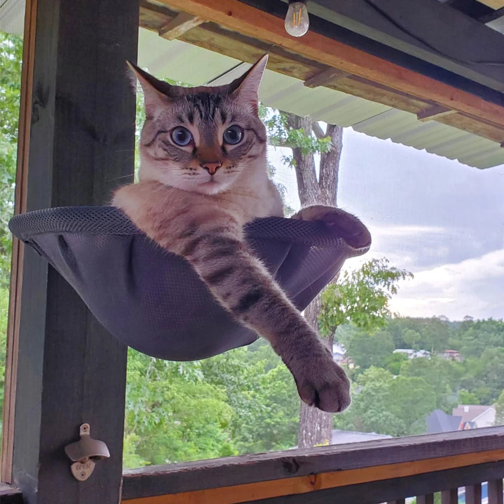 Columpio de pared para gatos con diseño en baloncesto y estructura ajustable
