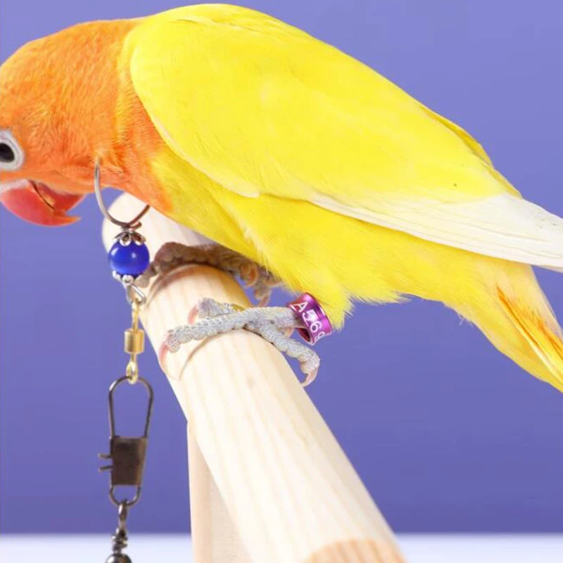 10 Piezas de anillos de pies de aluminio para aves con diámetro variado