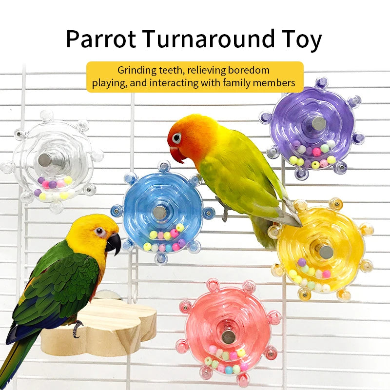 Accesorios para Pájaros – Diversos modelos y diseños para la comodidad y entretenimiento de tus aves