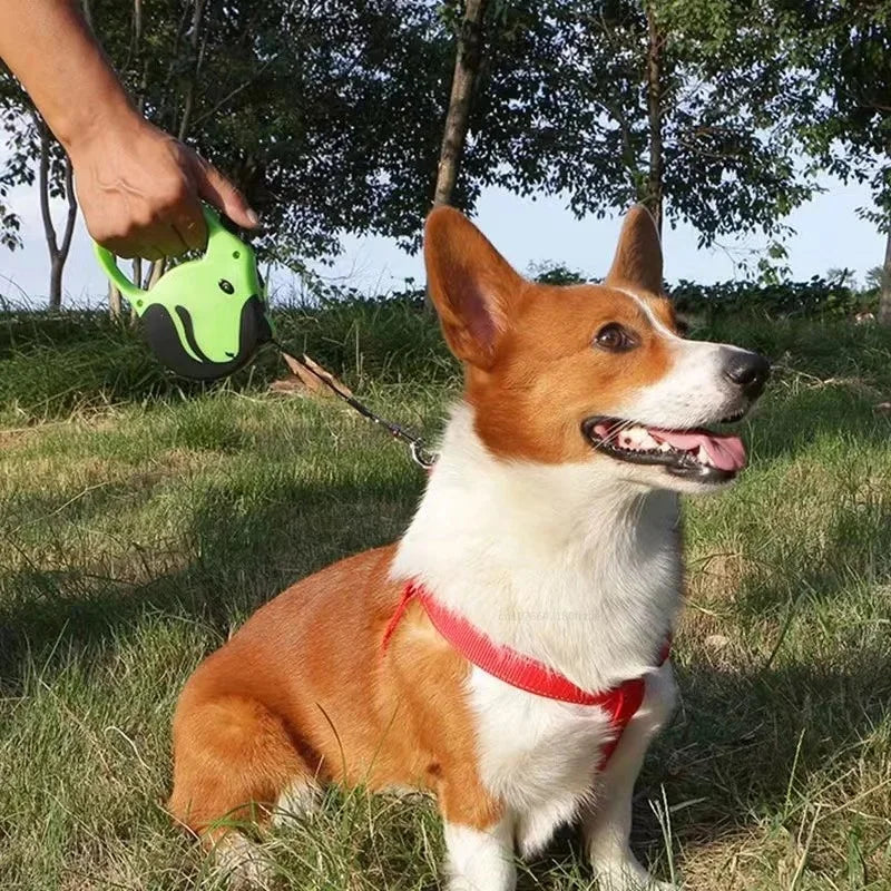 Correa Retráctil Personalizada para Perros - 5 y 3 Metros en Múltiples Colores