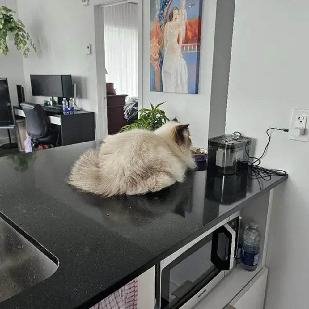 Dispensador de agua automático para gatos y perros con capacidad de 1.5L