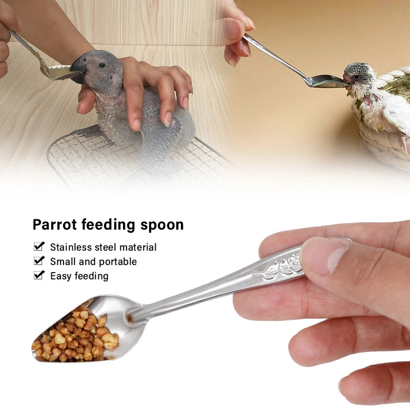 Cuchara alimentadora de acero inoxidable para aves, resistente y ligera