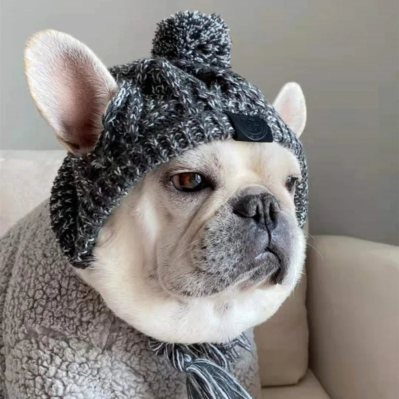 Gorro de Navidad para Perros en Color Gris - Acolchado, Tacto Suave y Diseño Con Estilo