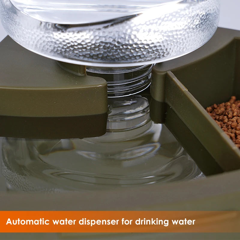 Dispensador automático de comida y agua para reptiles en esquina