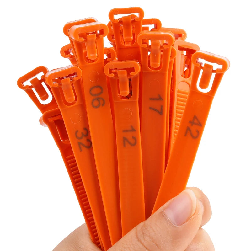 Anillos ajustables para patas de aves de gran calidad en varios colores y tamaños