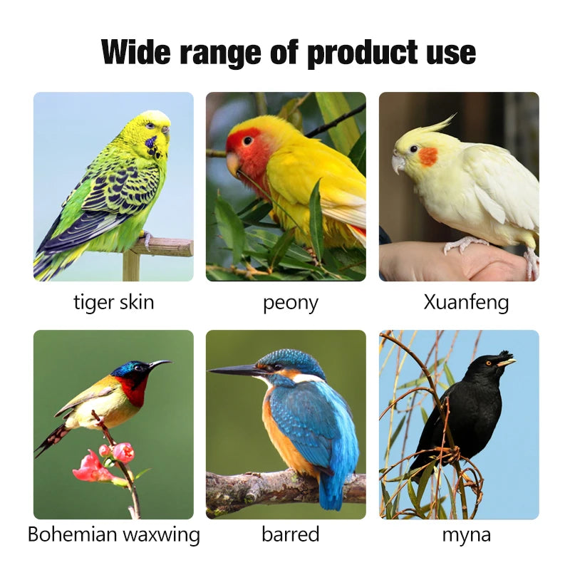 Varilla de Madera para Aves y Periquitos – Juguete Natural y Decorativo